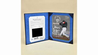 プロ野球　(ロッテ　ヤクルト多め) グッズまとめ　謎の魚 ロッテ・マスコット「謎の魚」の引退記念グッズを受注販売 進化
