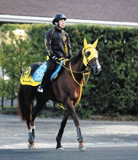 昭和52年 宝塚記念 トウショウボーイ 武邦彦 昭和52年 宝塚記念 トウショウボーイ 武邦彦 昭和52年 宝塚記念