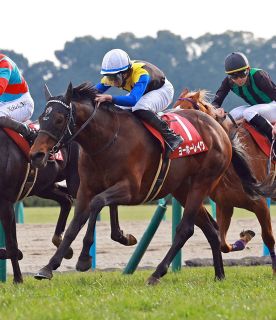 日本ダービー登録馬】皐月賞馬ミュージアムマイル、最優秀2歳