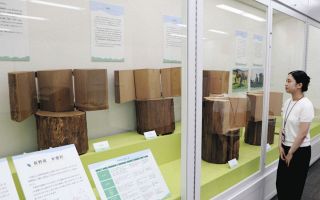 水源の里「五木」の手触り体感　大府で長野・王滝村と木曽町の特別展