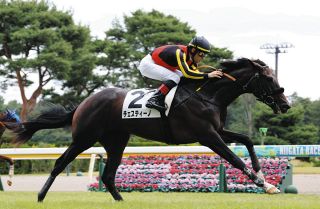 セレクトセール2025】ノームコア2024に4．1億円 金子真人HD（株）が