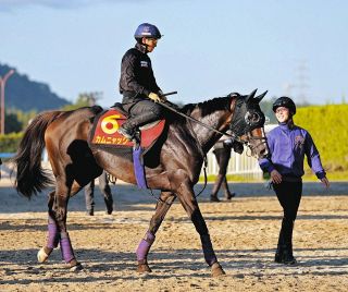 アーモンドアイが“世紀の一戦”ジャパンカップで有終の美…コン