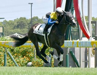 Amazon.co.jp: 第65回有馬記念 カレンブーケドール ホビーグッズ