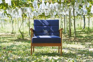 æ±æµ¦ç”£ã®å·¨å³°ã¨ã‚«ãƒªãƒ¢ã‚¯è£½å“ã€€ãµã‚‹ã•ã¨ç´ç¨Žè¿”ç¤¼å“ã«é™å®šãƒ‡ã‚¶ã‚¤ãƒ³ã®å•†å“