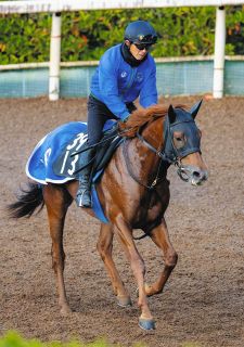 皇帝」シンボリルドルフ、岡部幸雄に「競馬を教えてもらった」と言わせ