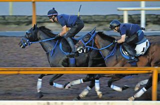 皐月賞】エフフォーリアが無傷4連勝で圧巻V「最高です」初G1制覇の横山武は親子制覇に、ダノンザキッドは15着：中日スポーツ・東京中日スポーツ