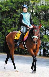 JRA 競馬 レプリカ 勝負服 コイウタ 前川清 松岡騎手 新品未使用 レア貴重 JRA 競馬 レプリカ 勝負服 コイウタ 前川清 松岡騎手 新品未使用