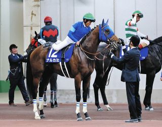 2002年皐月賞馬、ノーリーズン死す 25歳 通算12戦3勝：中日スポーツ