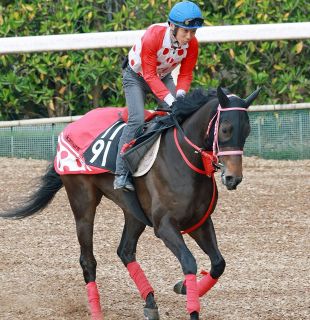 【府中牝馬S】ラヴァンダが格上挑戦で重賞チャレンジ、中村師「順調に来ている、ハンデはうーんという感じ」