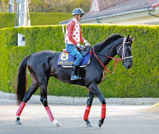 2019年の日本ダービー馬ロジャーバローズが8歳で死す、浜中 2019年の日本ダービー馬ロジャーバローズが8歳で死す、浜中