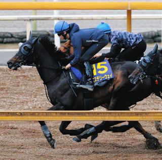 武豊インタビュー「やっぱりサイレンススズカの金鯱賞は衝撃的だった