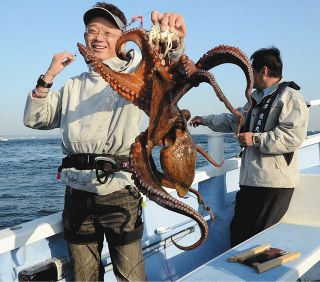 東京湾・春のマダコ釣りスタート　釣り方・調理法などを指南！