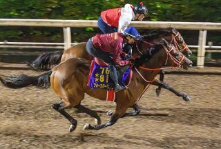 京都記念追い切り】エフフォーリアに王者の風格 横山武が持ったまま2