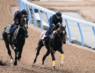 アスクワイルドモア前走10着の敗因は『落鉄』…蹄鉄は競走能力をそぐ  