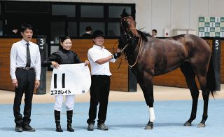 【函館5R新馬】3番人気エスカレイトが初陣V、小林美「いい騎乗ができたと思います」