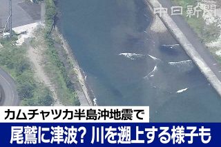 愛知や三重などに津波警報、岩手では1・3メートルを観測　カムチャツカ半島沖でM8・7地震