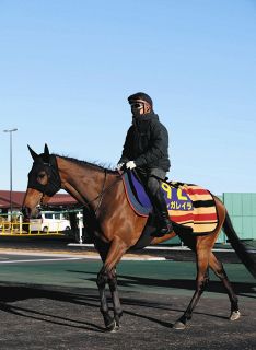 迫る新種牡馬産駒の2歳馬デビュー サトノダイヤモンドらに加えて実績