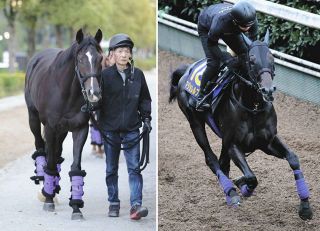 【菊花賞】エムズビギン「スタミナとパワーがあるから雨も大丈夫」、マジョレルブルーは「馬場が悪くなってほしくないかな」　2頭出しに対照的な友道師