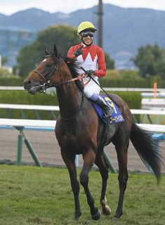 【本城雅人コラム】「本当にうまい」…京都を制する騎乗見せた武豊騎手の技　「動けない位置」にゴーイントゥスカイを入れて瞬発力生かす