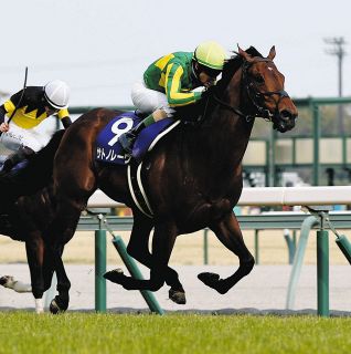 ディープインパクトは落札価格7350万円が種牡馬の価値は51億円に…ただ
