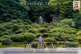 日本庭園特集「THE GARDEN」：中日新聞Web