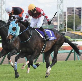 中山グランドジャンプ】5番人気エコロデュエルが優勝 草野騎手はJ・G1