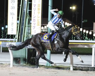 【メイショウタバル】アンリミクラシック メイショウタバル - 競走馬データTOP｜競馬予想のウマニティ