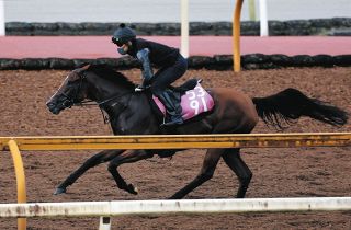アーモンドアイが“世紀の一戦”ジャパンカップで有終の美…コン