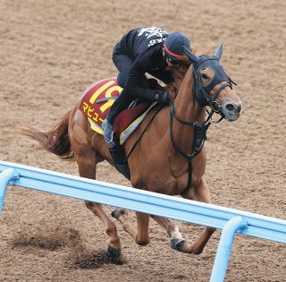 新人の角田大河騎手が初騎乗初勝利！続く2Rも勝利しデビュー2