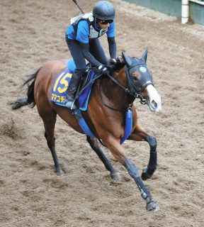 ディープインパクトは落札価格7350万円が種牡馬の価値は51億円に…ただ