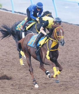 ライブの応援グッズ見て「競馬にも」ホッカイドウ競馬所属騎手の