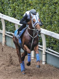 ミュージアムマイル メイクデビュー中京～弥生賞 全５戦 現地単勝馬券♪ ミュージアムマイル メイクデビュー中京～弥生賞 全5戦 現地
