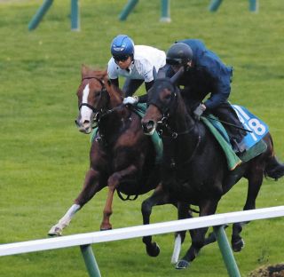 アネモネS・傾向と対策】3度の馬連万馬券＆4度の3連単10万超…波乱傾向