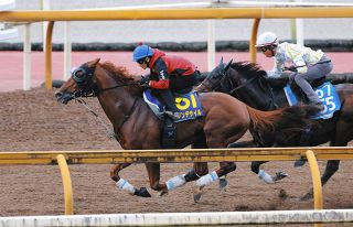 【天皇賞・秋1週前】ダノンデサイルは2馬身追走6F78秒1―11秒6　戸崎騎手「道中のリズムは良かった…先週より良くなっています」