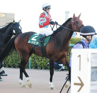 2002年皐月賞馬、ノーリーズン死す 25歳 通算12戦3勝：中日スポーツ