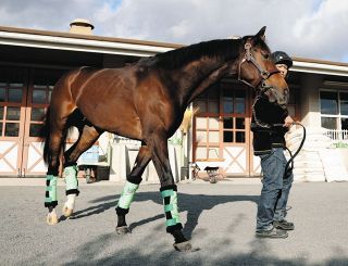 東京大賞典】単勝7番人気ディクテオン差し切りG1初勝利、20年ぶりの