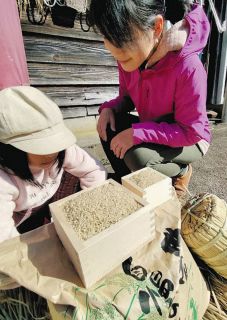 記者田んぼで育て上げ、ついに出来上がった玄米をじっと見つめて感激に浸った＝富山県南砺市太美で