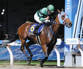 2002年皐月賞馬、ノーリーズン死す 25歳 通算12戦3勝：中日スポーツ