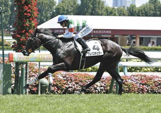 【期限切れ単勝馬券】　3歳新馬　ノーリーズン　ウマ娘 1560832.jpg