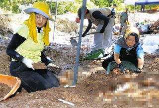 進む風化「一柱でも多く迎えたい」　パラオ・ペリリュー島の日本兵遺骨収集に記者同行、手りゅう弾抱えた姿勢の遺骨も