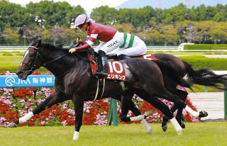 イクイノックス　ドバイシーマクラシック ドバイシーマクラシック】イクイノックスが大楽勝…逃げ切りで