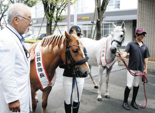 笠松競馬場のポニー2頭が一日救急隊長＆病院長　病院で救急の日PR、利用者と触れ合う
