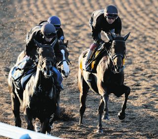新人王に輝いた小沢大仁騎手 ”負けず嫌いの性格と感謝の気持ち”その