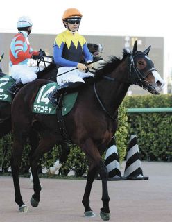 生まれた瞬間につばをつけて」3頭のG1馬を所有…大魔神・佐々木主浩さん