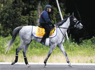 馬とアネモネｓ アネモネS・傾向と対策】3度の馬連万馬券＆4度の3連単10万超…波乱傾向