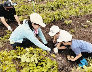 中津川で夏野菜狩り　中小企業互助組織会員らがジャガイモやタマネギを収穫