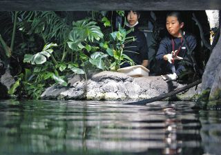 アクア・トトぎふで小中生が飼育員体験　勤労感謝の日にイベント