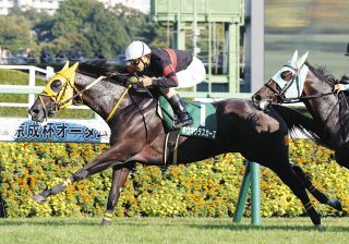 2002年皐月賞馬、ノーリーズン死す 25歳 通算12戦3勝：中日スポーツ