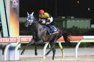 第65回有馬記念　カレンブーケドール Amazon.co.jp: 第65回有馬記念 カレンブーケドール ZC