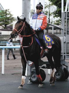 2002年皐月賞馬、ノーリーズン死す 25歳 通算12戦3勝：中日スポーツ
